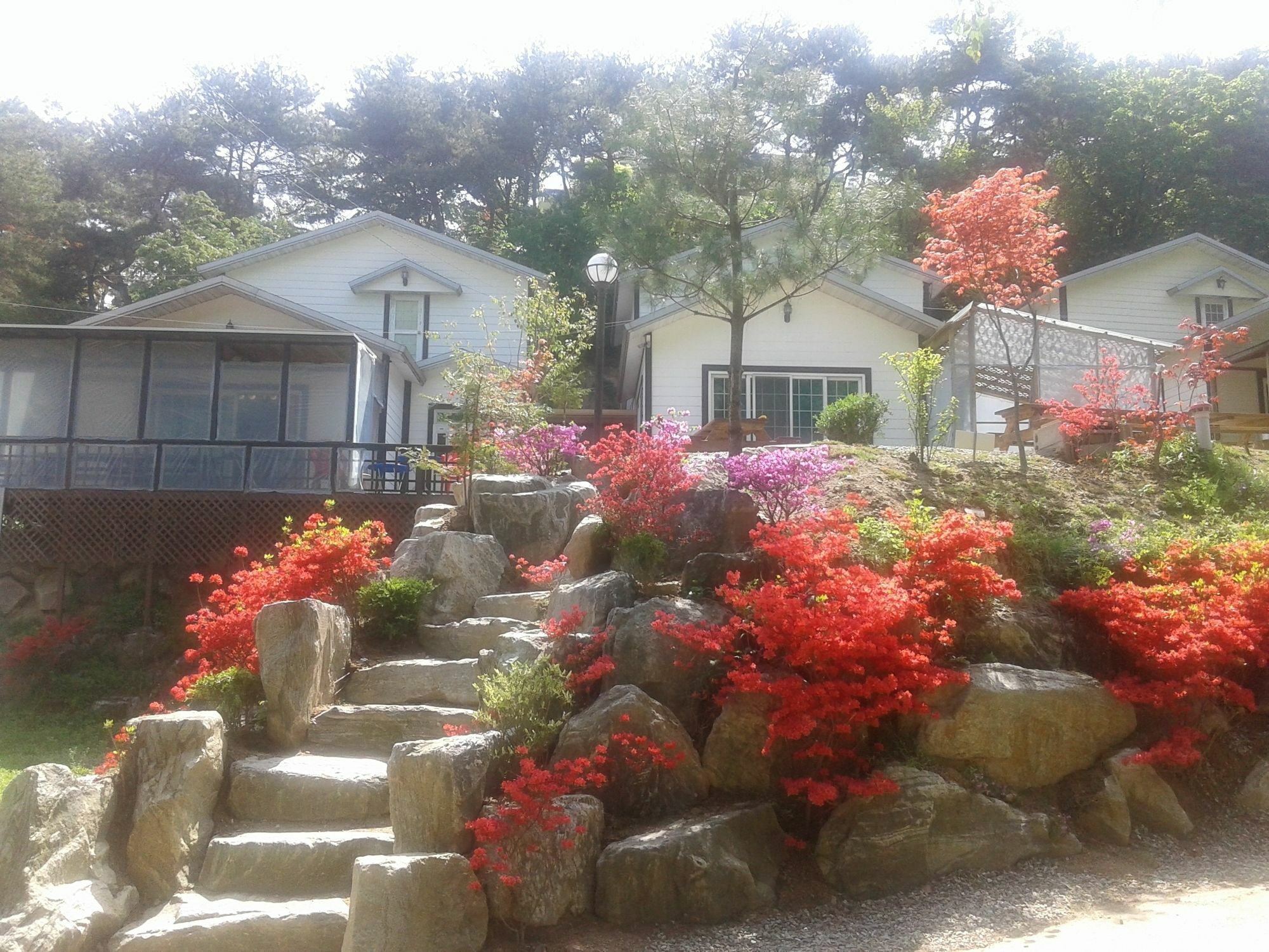 Hwangto Green Village Pension Γιόνγιν Εξωτερικό φωτογραφία